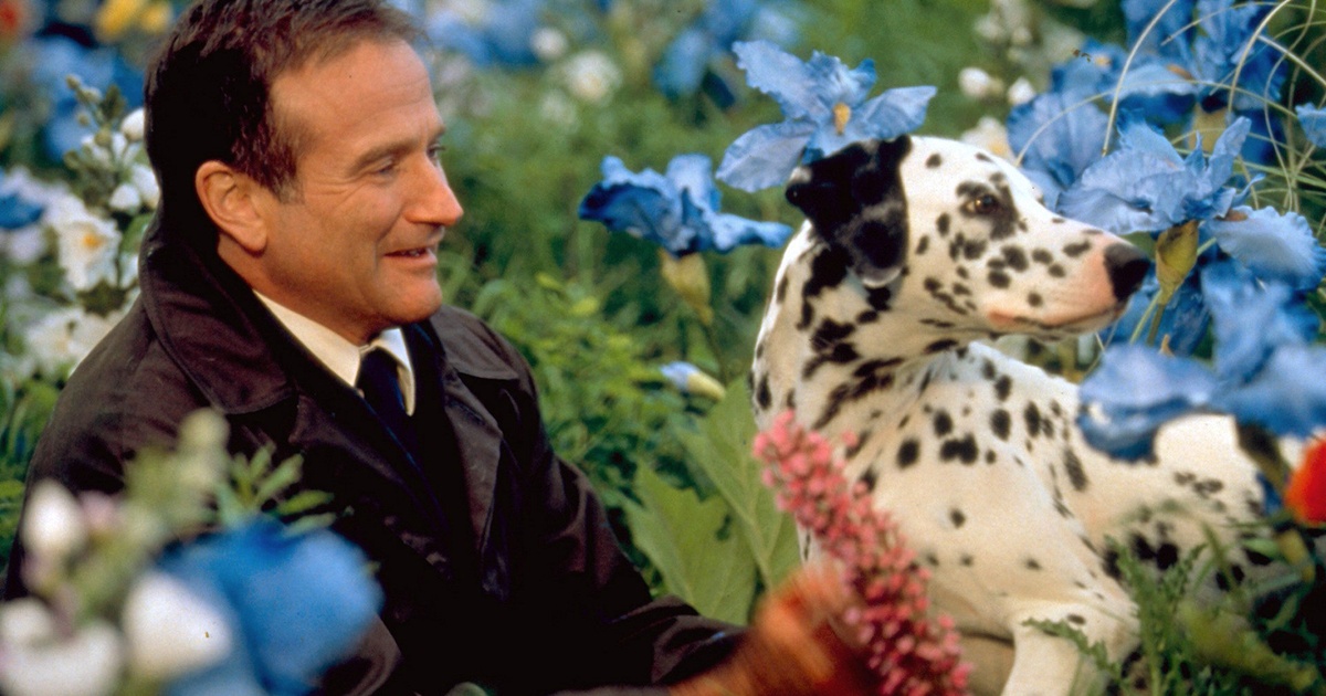 Рекомендация на вечер — фантастическая мелодрама «Куда приводят мечты»