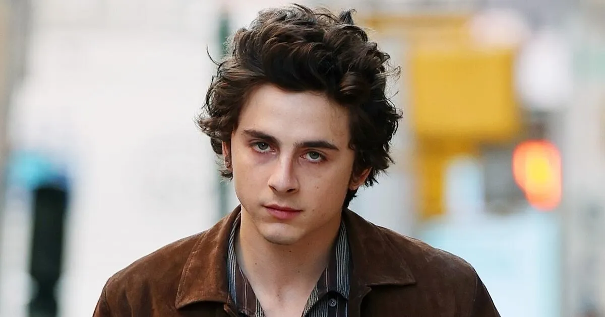 Почему Тимоти Шаламе стал объектом насмешек