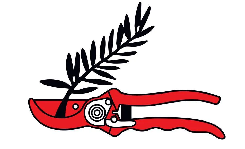 В каком городе можно выиграть «Золотой пальмовый секатор»