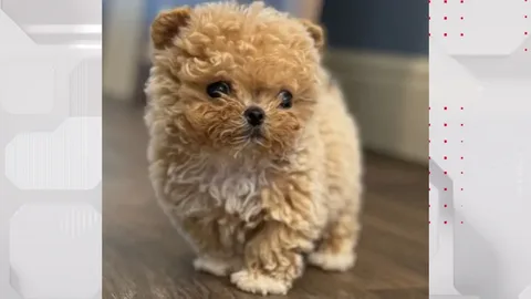 У Филиппа Киркорова пополнение в семье